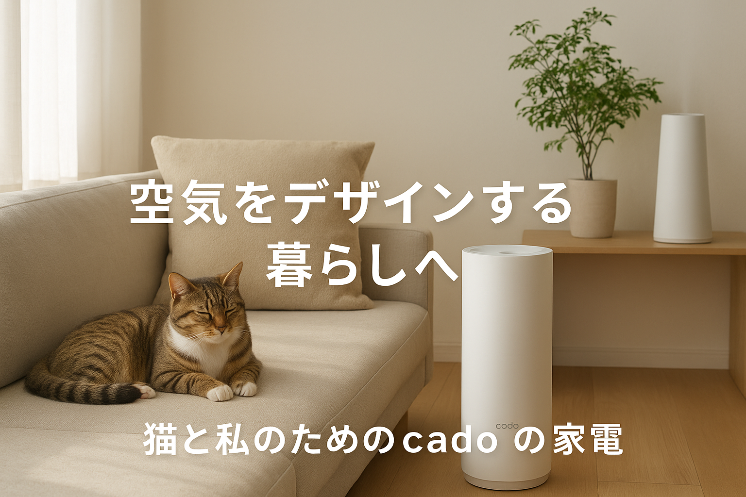 空気をデザインする暮らしへ cado