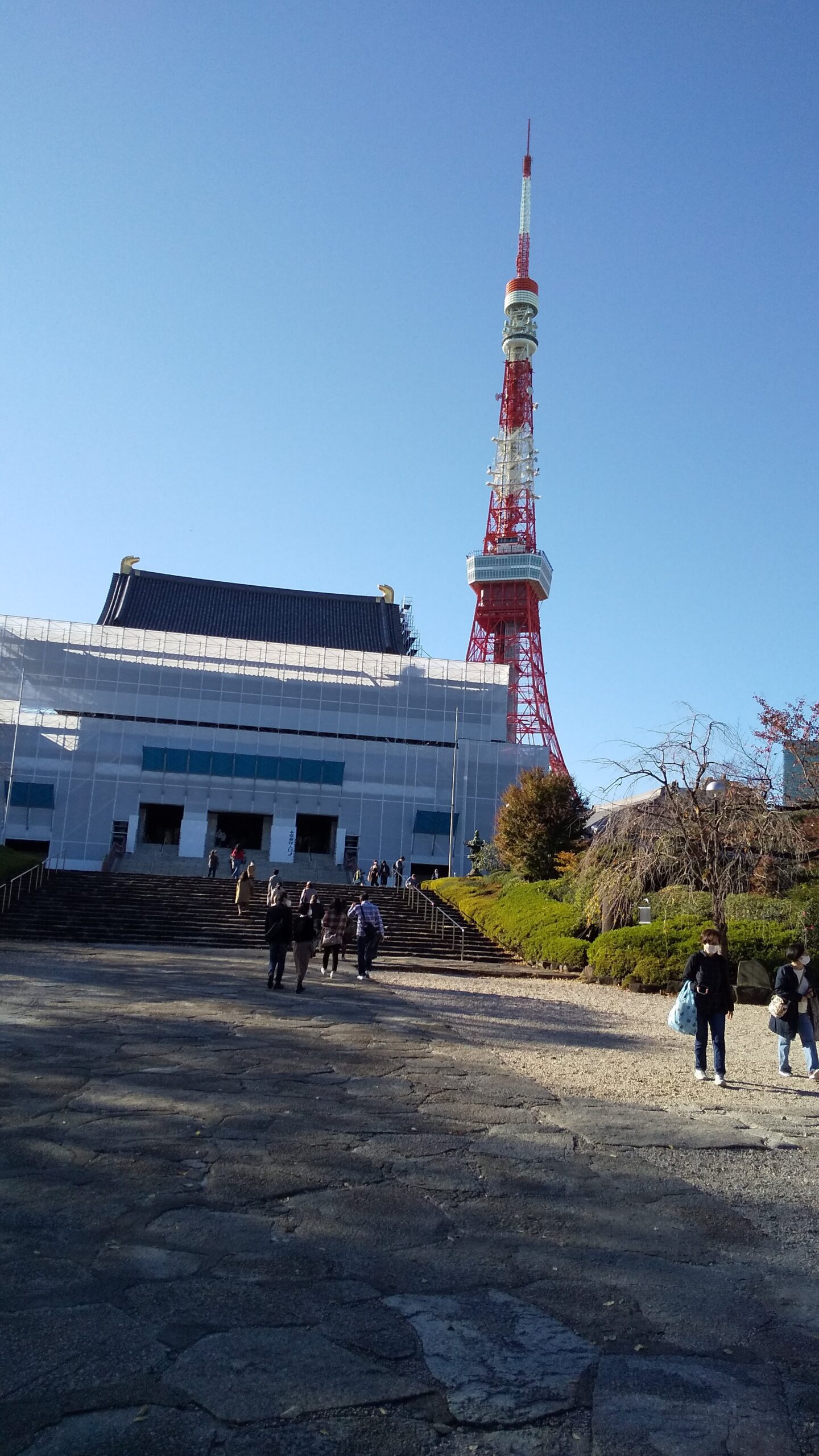 東京タワーを見上げながら、歩く!歩く!